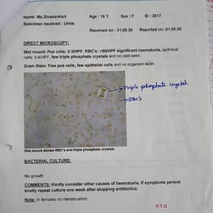 Hospital bill