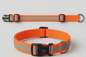 What is given for Dog Collar